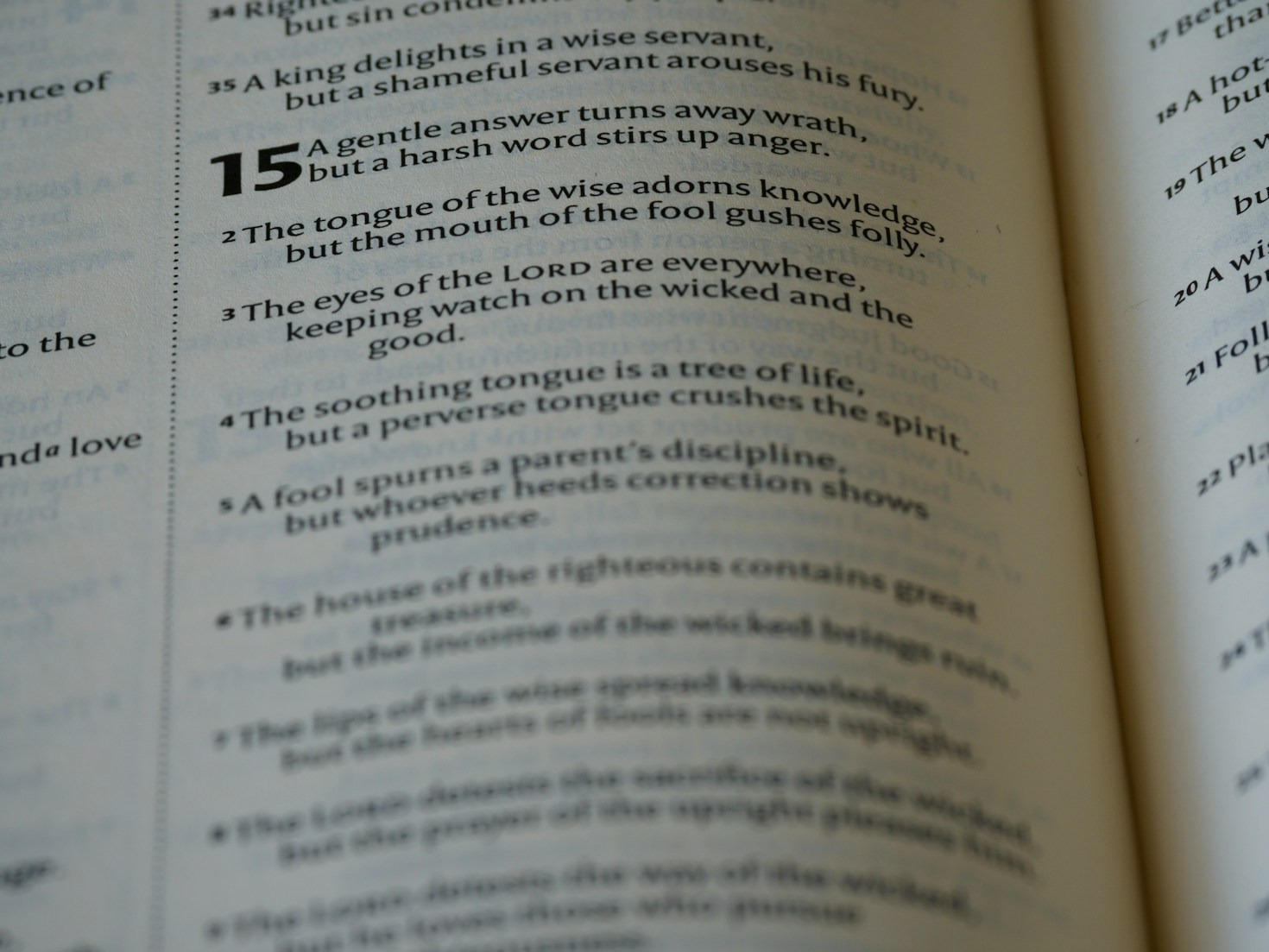 A Guide to Applying the Vibe Principles in Real Life